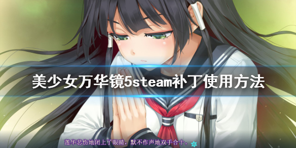 美少女万华镜5steam补丁怎么用 美少女万华镜5steam补丁使用