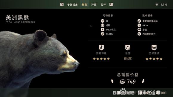 狩猎之道五星美洲黑熊怎么狩猎-五星美洲黑熊狩猎方法介绍