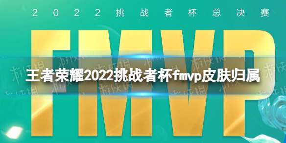 王者荣耀挑战者杯fmvp皮肤是谁的 2022挑战者杯fmvp皮肤归属