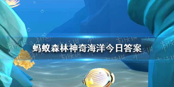 支付宝哪种海洋动物有“海底蝗虫”之称 神奇海洋今日答案10.19