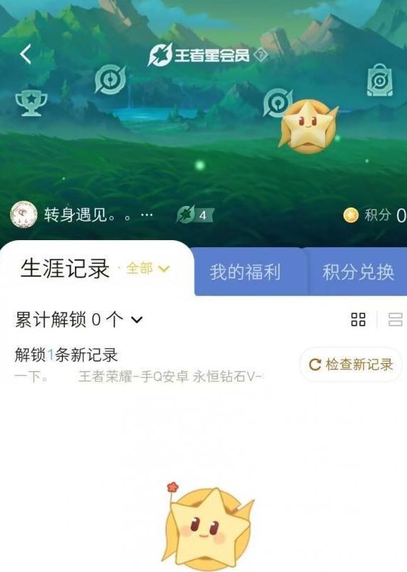 王者荣耀星会员图标在哪 星会员图标位置查看方法[多图]