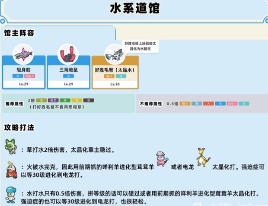 宝可梦朱紫道馆队伍怎么配置 全道馆打法攻略[多图]