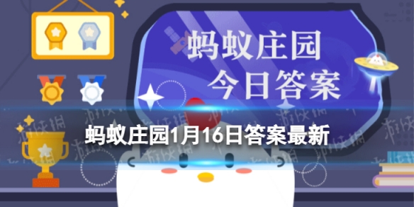 过年品美食以下哪项属于国家级非物质文化遗产 蚂蚁庄园1月16日答案早知道