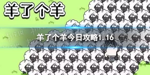 羊了个羊今日攻略1.16 羊了个羊1月16日通关攻略