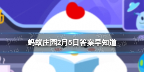 古人所说的浮圆子指的是哪种美食 蚂蚁庄园2月5日答案早知道