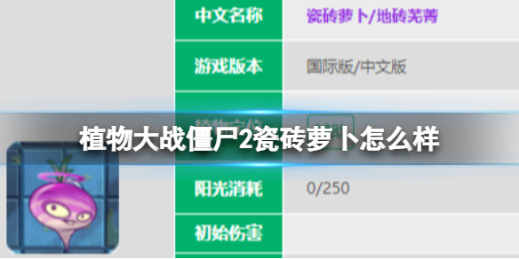 植物大战僵尸2瓷砖萝卜怎么样 瓷砖萝卜图鉴大全