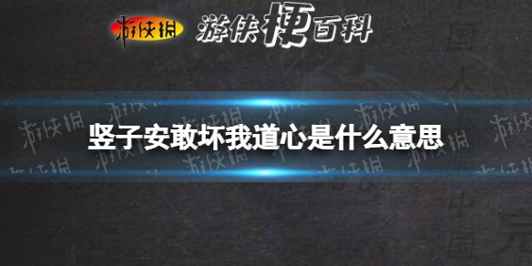 竖子安敢坏我道心是什么意思 竖子安敢坏我道心梗介绍