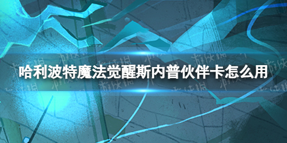 哈利波特魔法觉醒斯内普伙伴卡怎么用 哈利波特魔法觉醒斯内普伙伴卡使用技巧