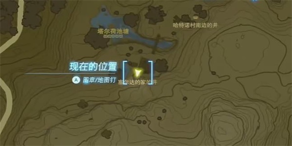 海星用什么移动 支付宝蚂蚁森林神奇海洋小知识6月9日答案