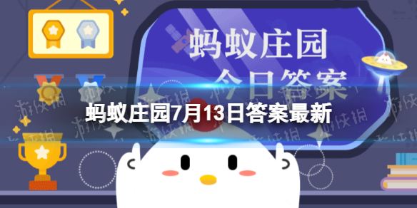 小鸡宝宝帮你挑水果以下哪种山竹更新鲜 蚂蚁庄园7月13日答案早知道