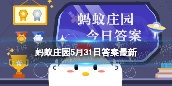 以下哪个是人体吸收营养物质的器官 蚂蚁庄园5月31日答案最新