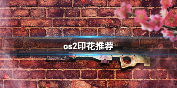 《cs2》印花推荐介绍