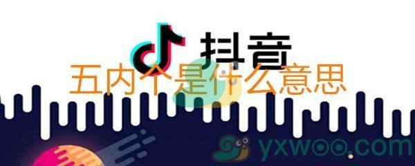 抖音五内个是什么意思