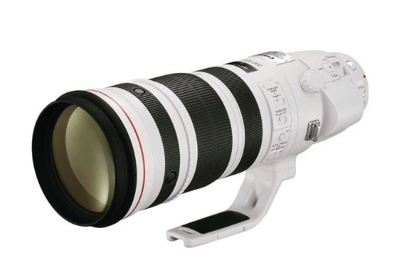 佳能2023年新品预告：备受期待的RF200-500mm f/4L IS USM即将亮相