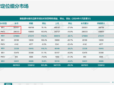 自主PHEV销量飙升，问界理想领跑市场——2024年1月新能源汽车市场分析报告