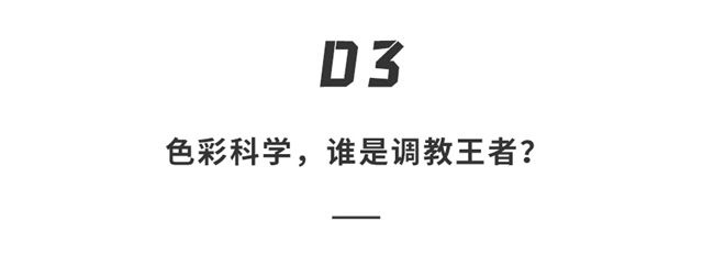 中日韩顶级Mini LED电视探索西沙秘境，谁赢了？